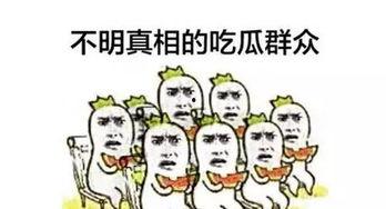 有偿分享吃瓜视频,付费观看，吃瓜视频背后的热门现象
