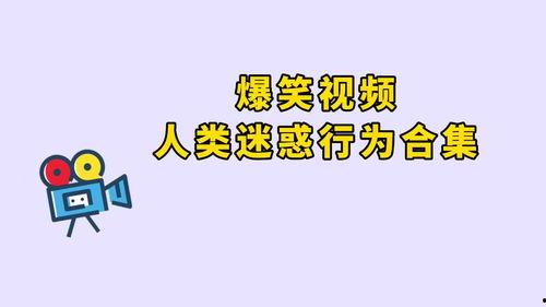 爆笑视频吃瓜群众不一般,揭秘不一般的趣味人生