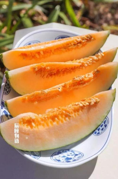 瓜娃子吃的好吃吗视频大全,视频大全里的美味诱惑