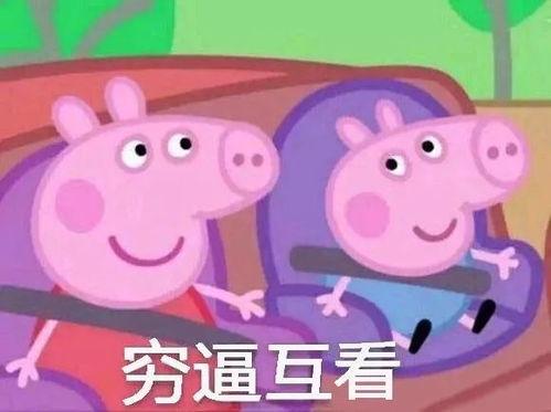 带你吃瓜吐槽佩奇视频,带你吃瓜吐槽，揭秘娱乐圈背后的故事