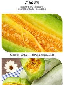 吃瓜过瘾的视频,视频带你领略瓜界狂欢盛宴