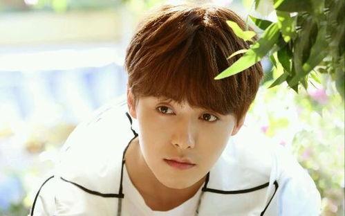 吃瓜爆料马天宇视频大全,吃瓜爆料背后的精彩瞬间