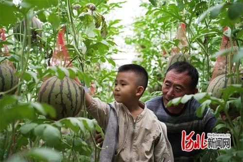 河北最新吃瓜视频曝光,揭秘背后惊人真相