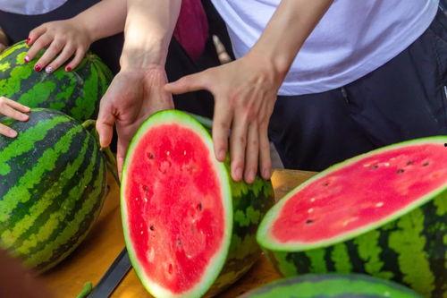 文安吃瓜四个视频