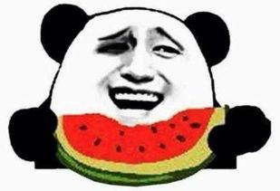 笑死吃瓜群众是真的吗视频