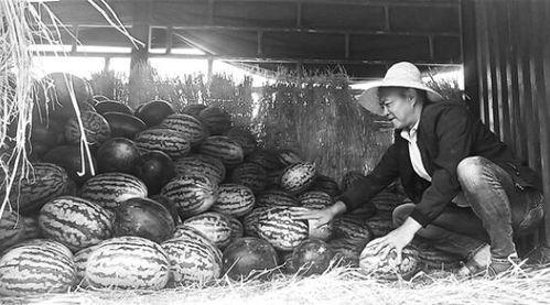 安阳吃瓜群众事件视频曝光,视频曝光揭示惊人真相