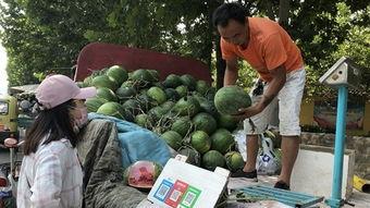 山东济宁最新吃瓜视频