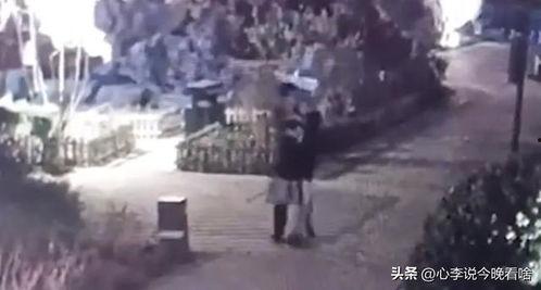 西昌吃瓜事件合集视频,一场网络狂欢的幕后真相揭秘