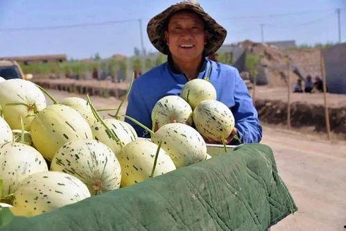 库尔勒群众吃瓜视频,共享夏日清凉时光