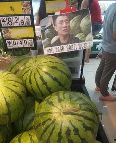 买瓜老板吃瓜视频大全,揭秘买瓜老板吃瓜视频大全背后的趣味人生